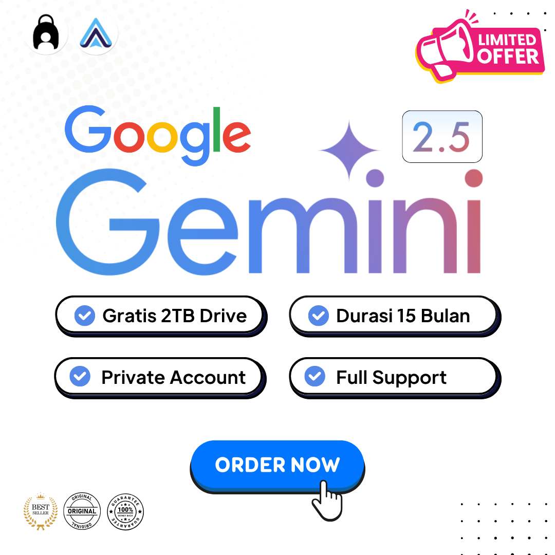 Gemini PRO 2.5 Private